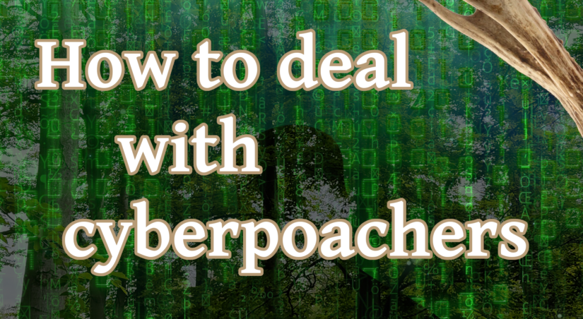 How to Deal with Cyberpoachers